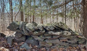 L22.2 Alder Pond Road, Andes, NY 13740