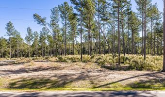 127 Beagle Chase Dr, Appling, GA 30802