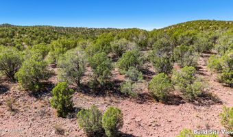115 P W Ridge Rd, Chino Valley, AZ 86323