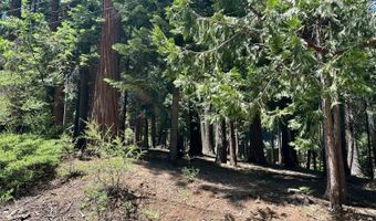 2913 Zuni Dr, Arnold, CA 95223
