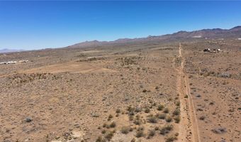 308-22 395 N Palo Verde Dr, Chloride, AZ 86431