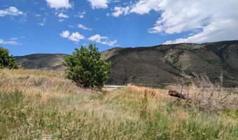 439 Redtail Ridge Way, Bellvue, CO 80512