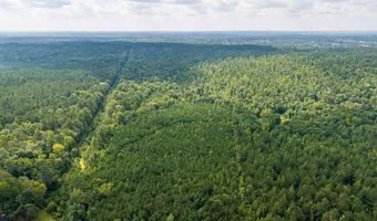 Burks Mountain Road, Appling, GA 30802