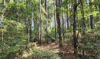 0 Lowery Rd Lot #10, Atmore, AL 36502