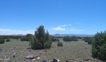 Tbd Windsor Valley Ranch Lot 87, Concho, AZ 85924