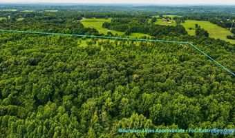 58 Acres Naples Ln, Arab, AL 35016