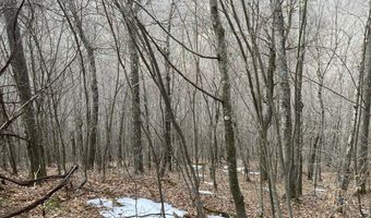 0 TBD Elleber Sods Rd, Bartow, WV 24920