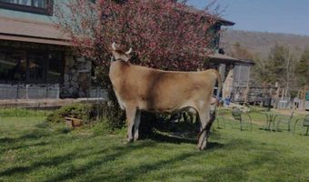 10463 Farm Road 1182, Aurora, MO 65605