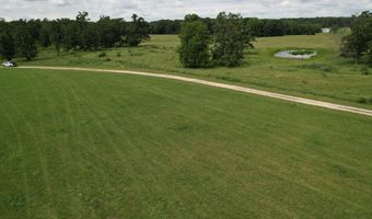 Tract 2 0000 Private Road 1184, Aurora, MO 65605