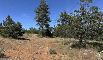 112 TIMBER Rd, Bickleton, WA 99322