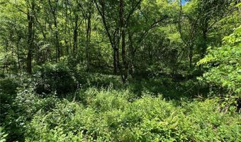 0 Crooked Creek Rd, Alum Creek, WV 25309
