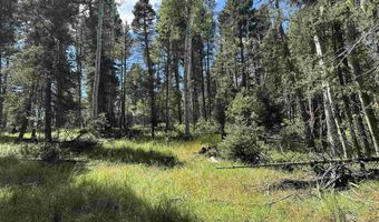 Lot 10 Alpine Lake Terrace, Angel Fire, NM 87710