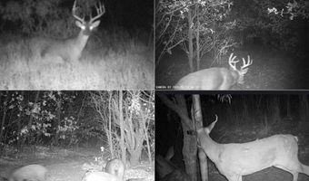 8378 County Road 358, Anson, TX 79501