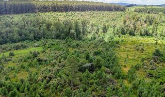 62- Acres Grandmas Hill Rd, Amherst, VA 24521