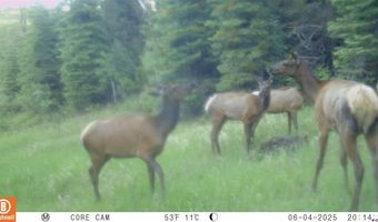 15098 CR 240, Bayfield, CO 81122