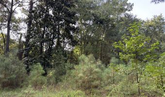 0 Providence Cir, Awendaw, SC 29429