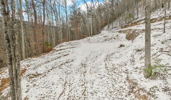 226 Briar Fork Rd, Bean Station, TN 37708