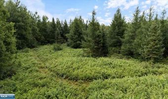 Samuelson Rd, Angora, MN 55703