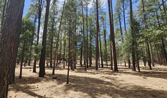 15 County Road 2065, Alpine, AZ 85920