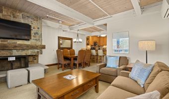 610 S West End St H202, Aspen, CO 81611