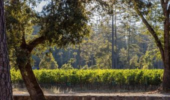 1050 White Cottage Rd N, Angwin, CA 94508
