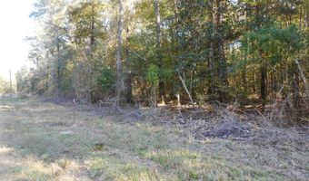 E-S Drive, Braxton, MS 39044