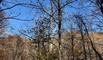 815 White Oak Rd, Artie, WV 25008