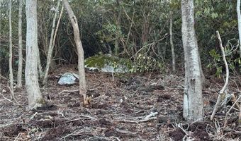 Tbd Pigeon Roost Road, Banner Elk, NC 28604