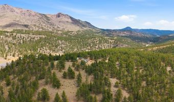 901 CR 64, Bailey, CO 80421