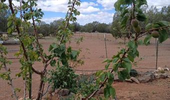 Raz Road lot 102, Ash Fork, AZ 86046