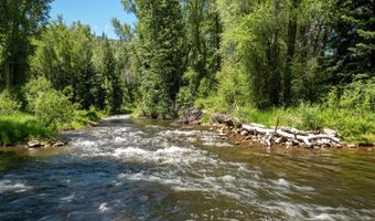 99 Shady Ln, Aspen, CO 81611
