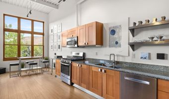 231 Robinson St 218, Basalt, CO 81621