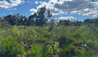 0 ALTURAS BABSON PARK CUT OFF Rd, Bartow, FL 33830