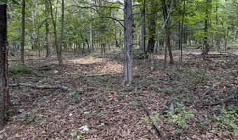 1767 Ff Hwy, Alton, MO 65606