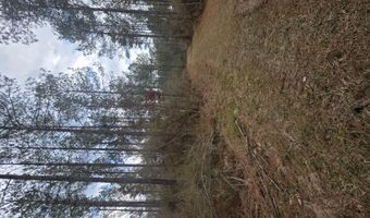 U.S. Highway 51, Bogue Chitto, MS 39629