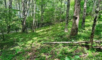 Chestnut Mountain Road, Banner Elk, NC 28604