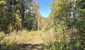 7501 Rainey Morris Rd, Appling, GA 30802