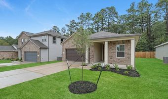 10644 Harlequinn Plan: Prism, Adkins, TX 78101