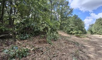 4370 Macdougall Dr, Allegan, MI 49010