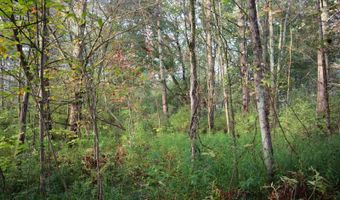 0 Midline Rd, Amsterdam, NY 12010