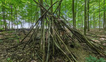 6217 S Trailwoods Dr, Ann Arbor, MI 48103