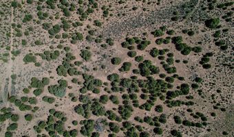 B 2 and B 1A Comanche Trail, Carson, NM 87517