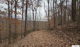 Pine Valley Dr, Bassett, VA 24055