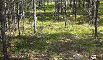 Anderson Tracts Road, Anaconda, MT 59711