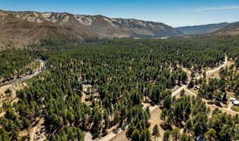 116 Pine Dr, Bayfield, CO 81122