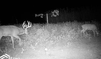 560 Th Ave, Albia, IA 52531