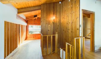 209 E Reds Rd, Aspen, CO 81611