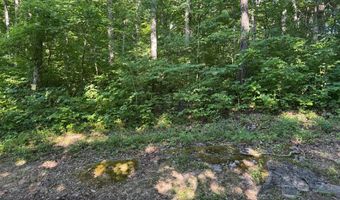 6 8 Acres Friendship South Rd, Afton, TN 37616