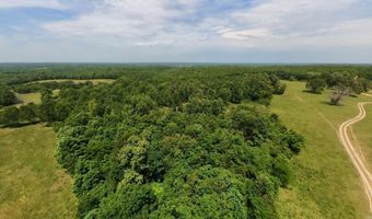 N County Road 113, Alton, MO 65606