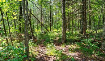 Double Bend Road, Argonne, WI 54511